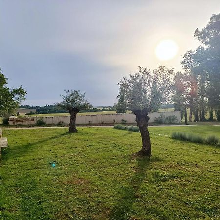 Maison Saint-Pe Beraut Bagian luar foto
