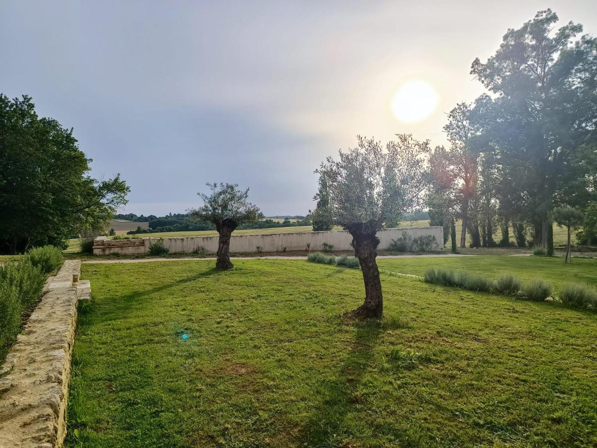 Maison Saint-Pe Beraut Bagian luar foto